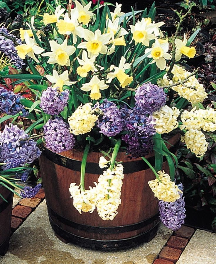 The House Spring Flower Bulb Inspiration