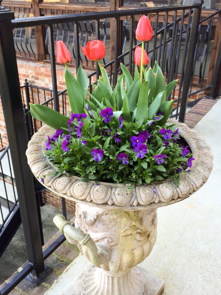 The Potting Shed Spring Garden Ideas