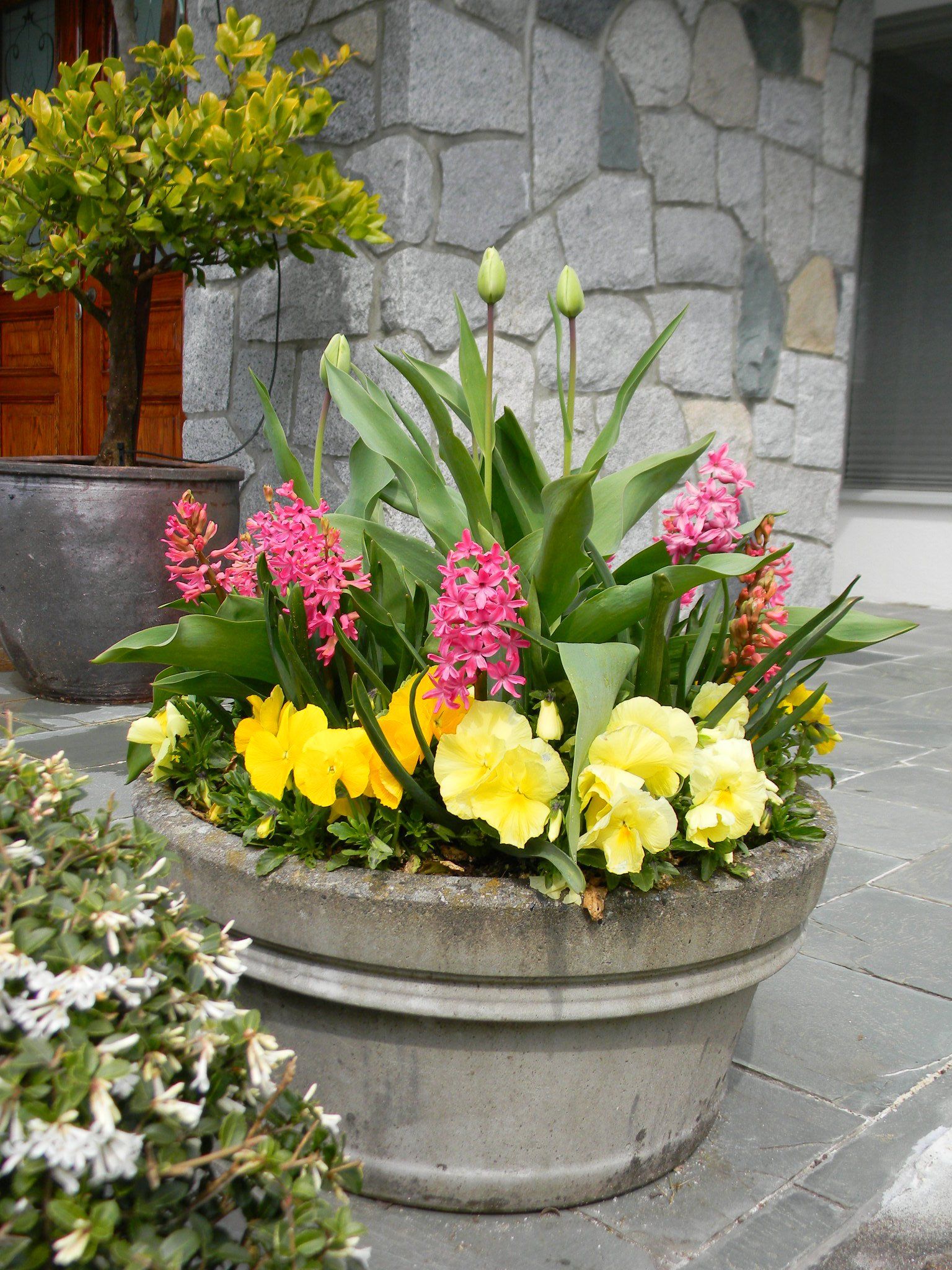 Longwood Gardens Pote Fleurie