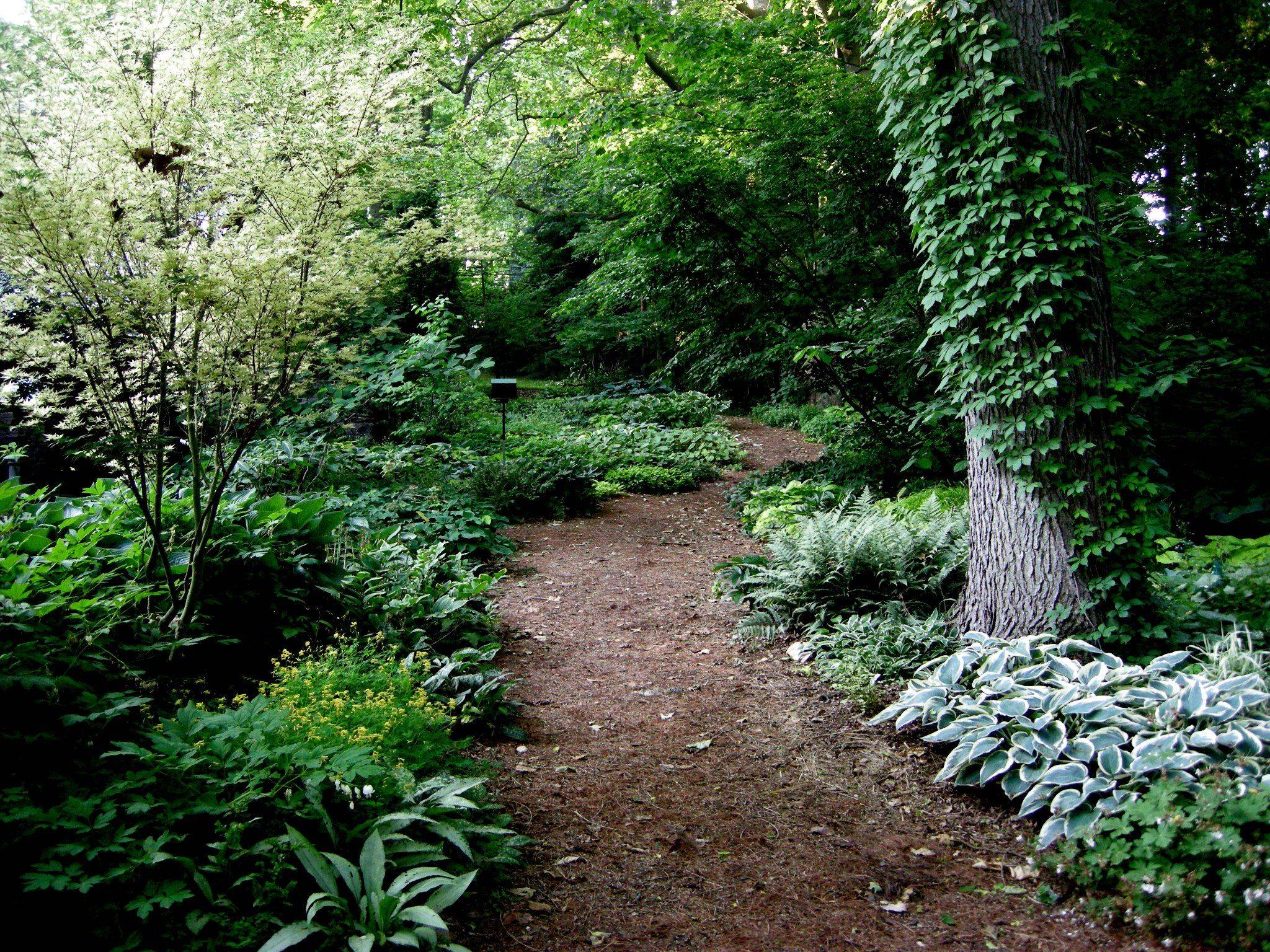 English Garden Path Cottage Garden Design