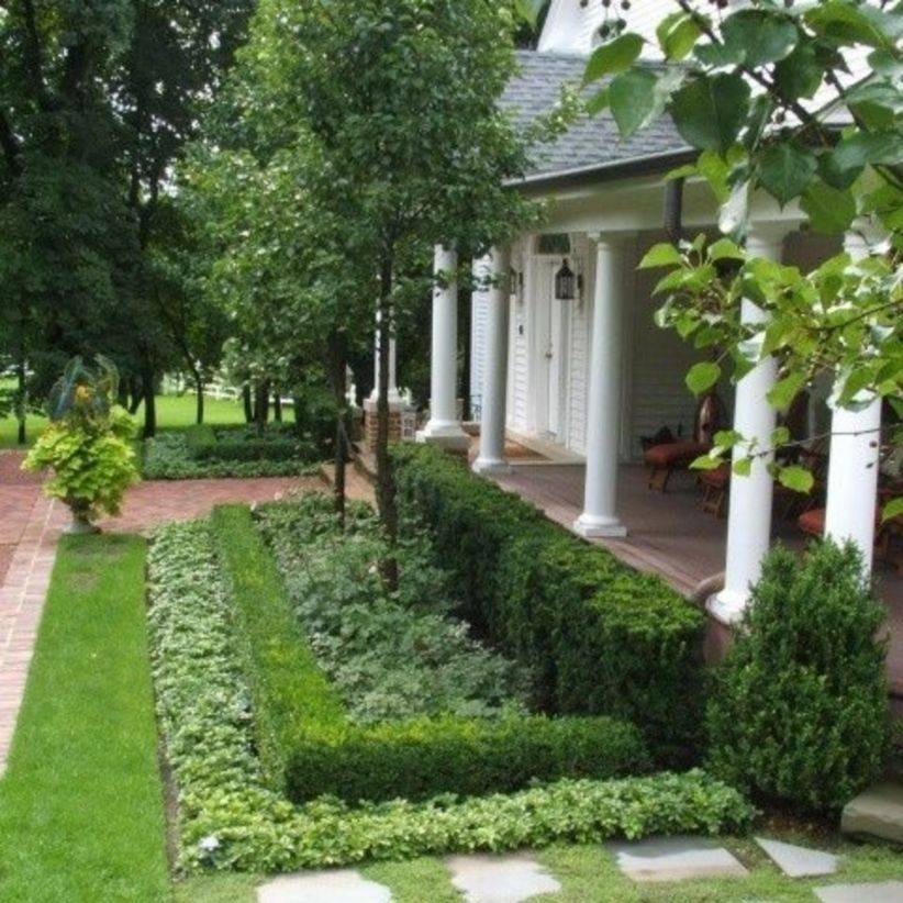 Graceful Container Garden Ideas