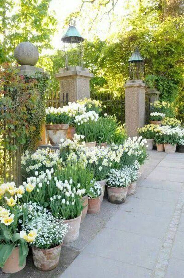 Amazing Ideas French Country Garden Decor Page Home Decor Ideas