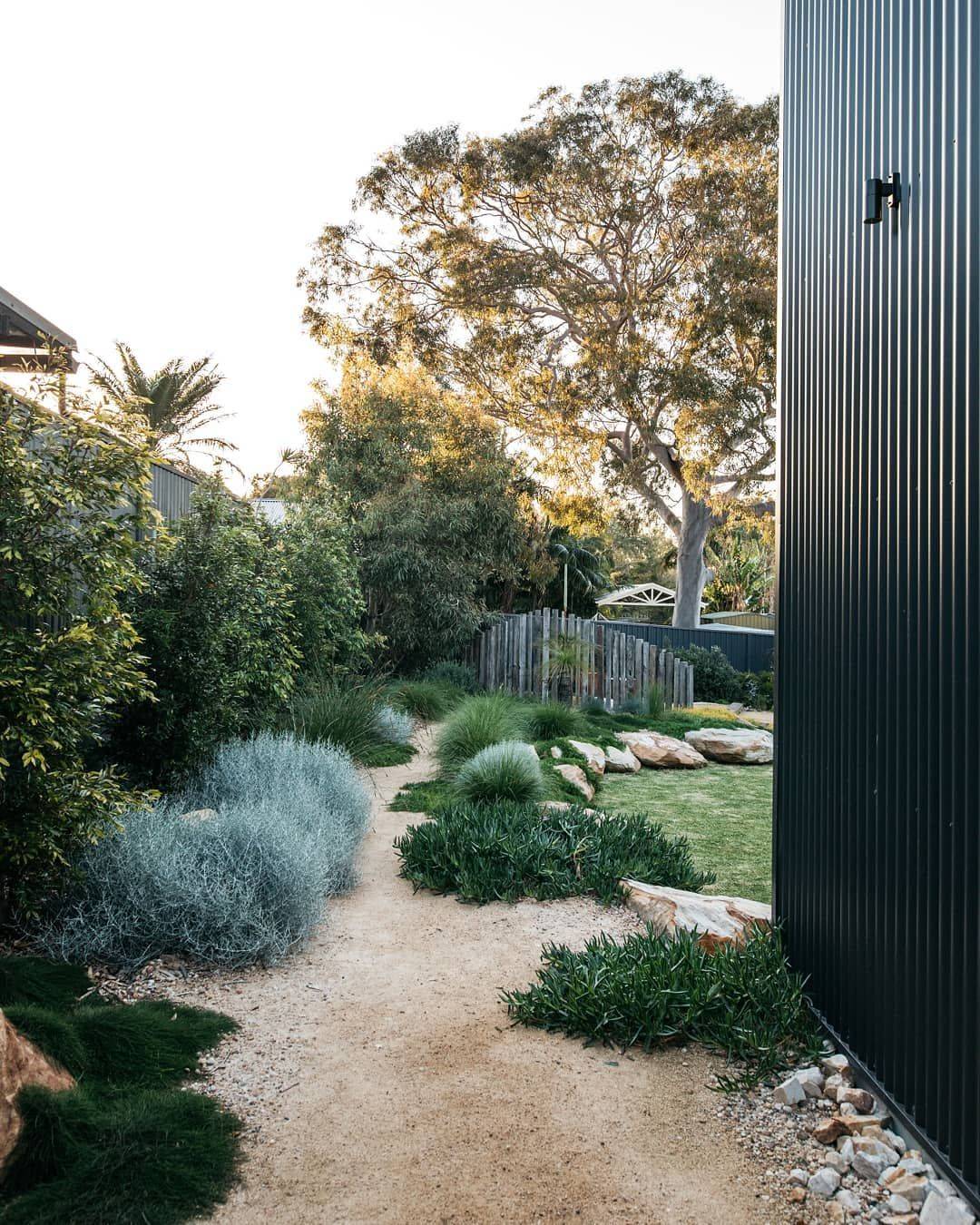 Native Australian Garden Design Ideas