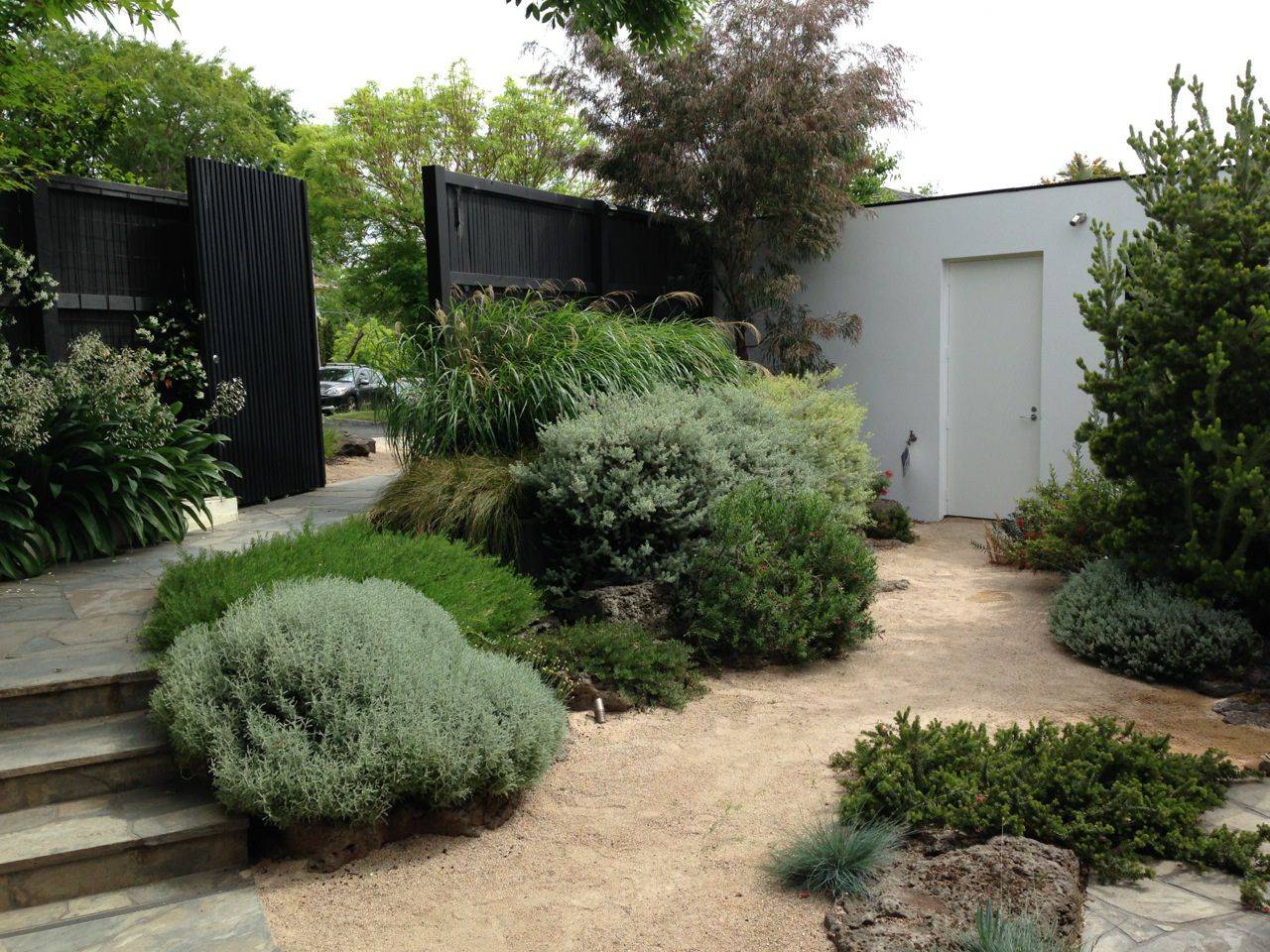 Australian Native Garden Design Ideas