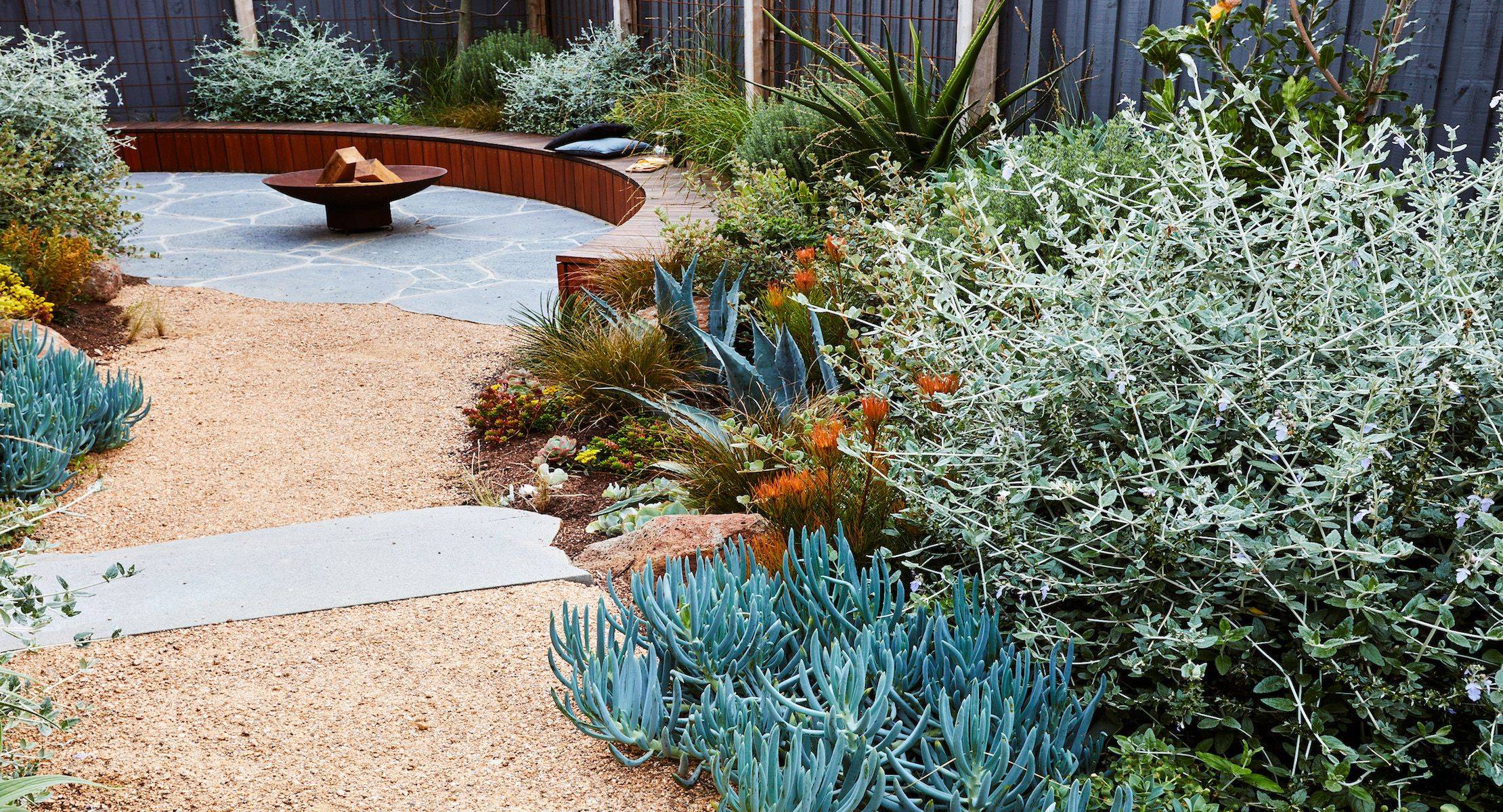 Modern Australian Native Garden