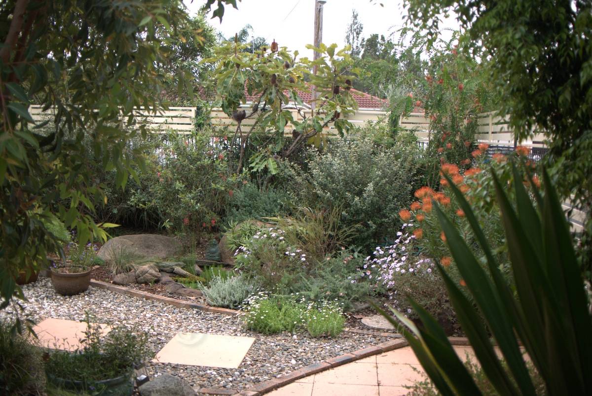 Boardwalk Australian Garden