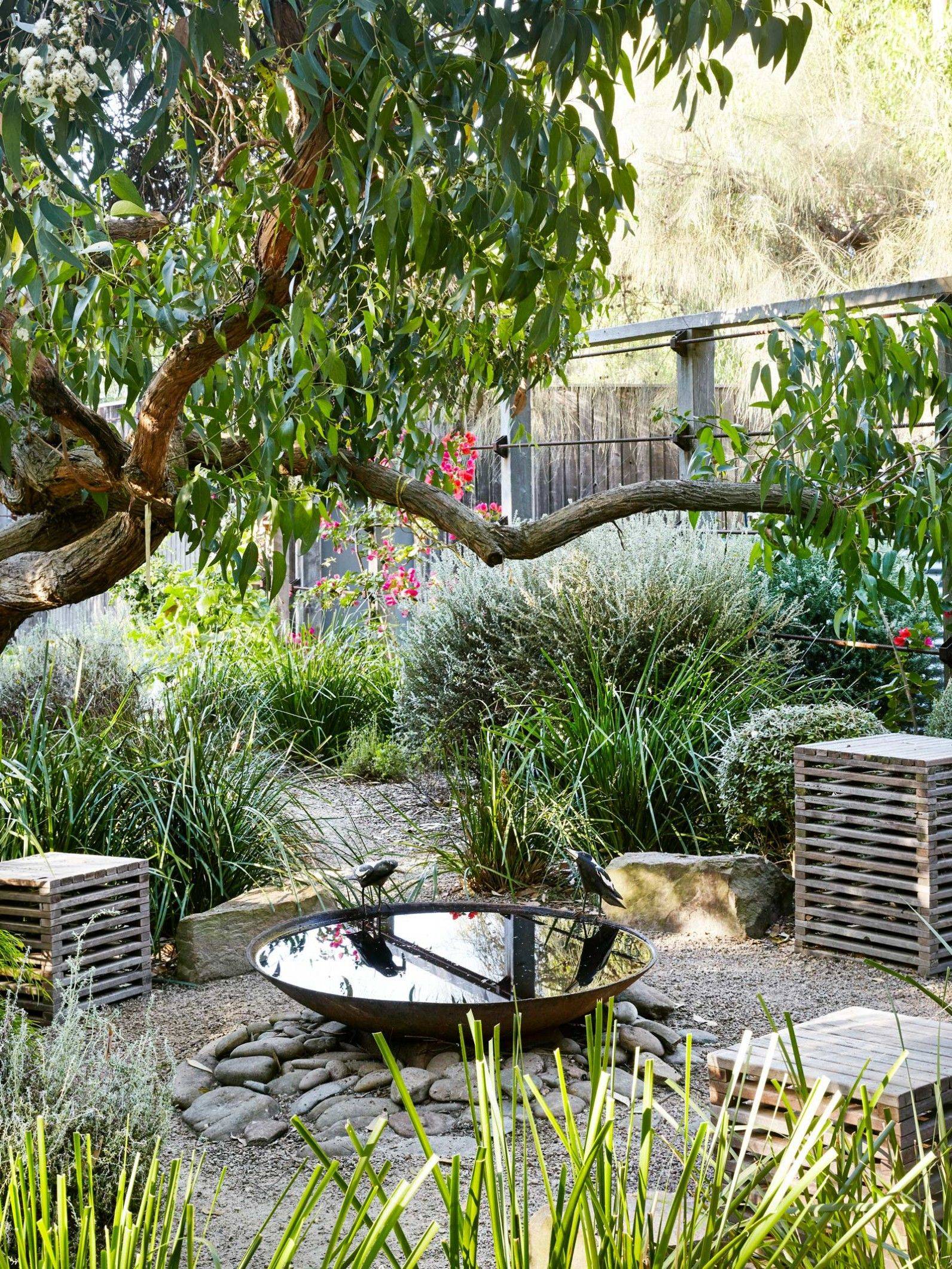 Boardwalk Australian Garden