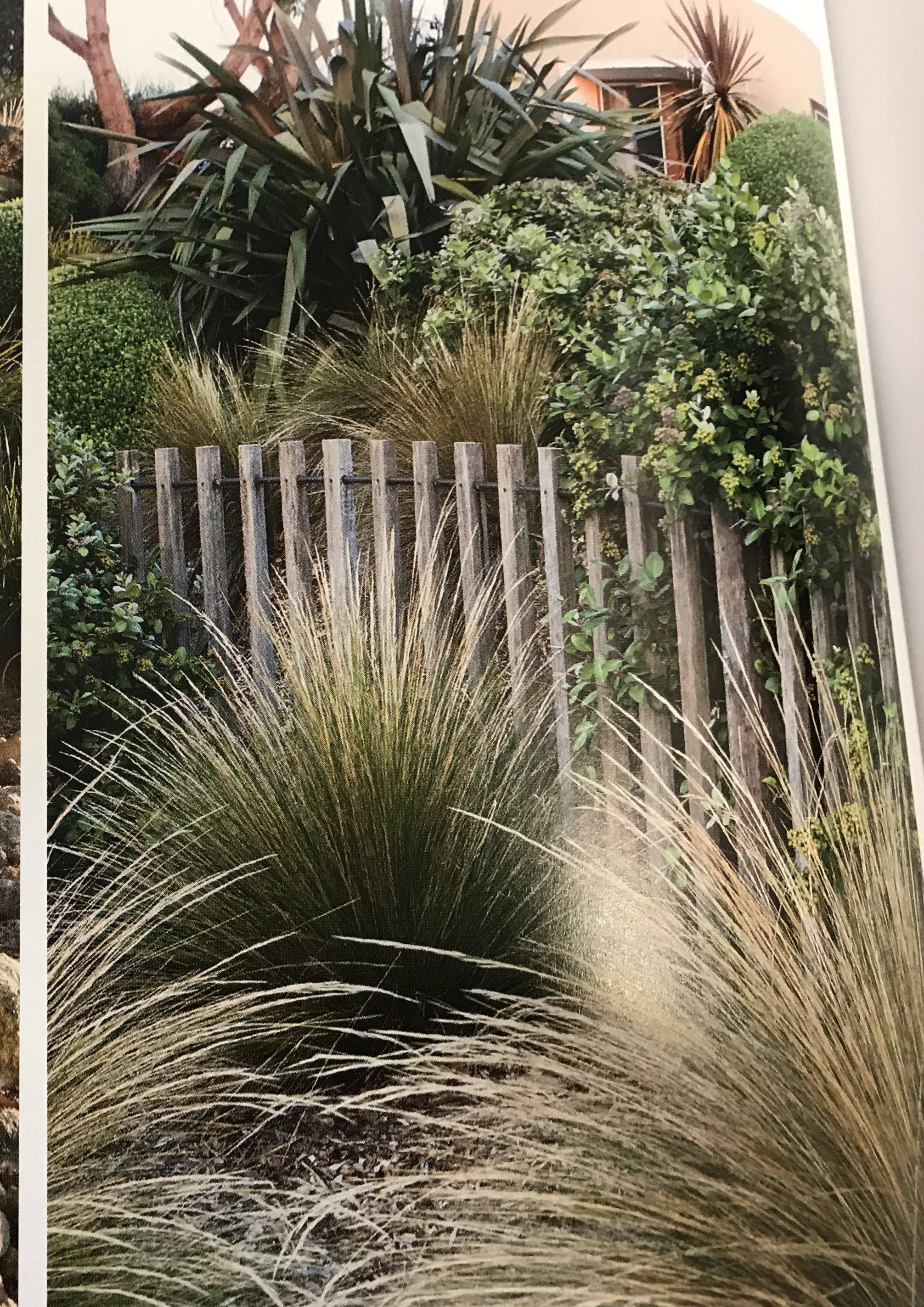 Native Australian Garden Design Ideas