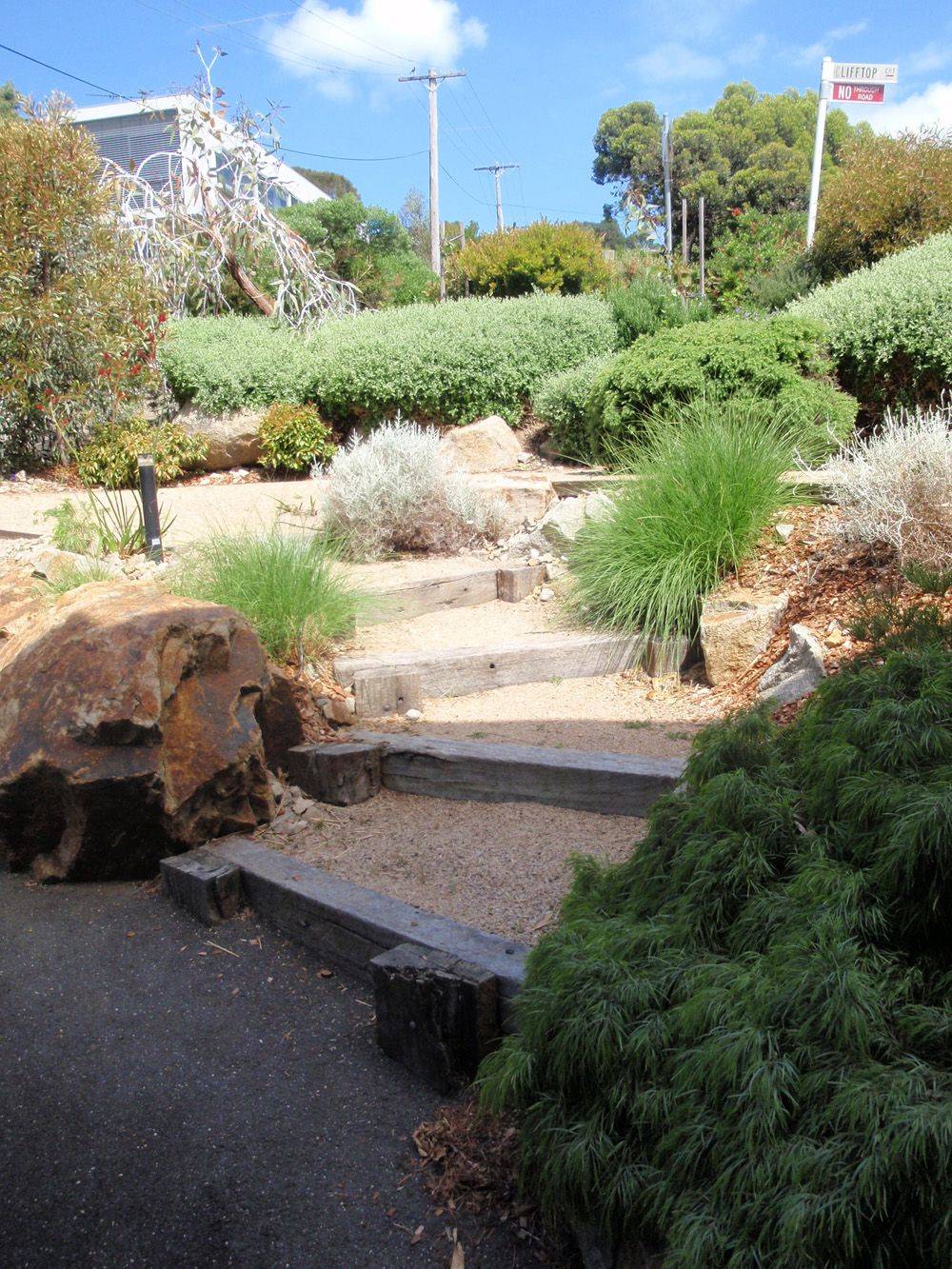 Australian Native Garden Design