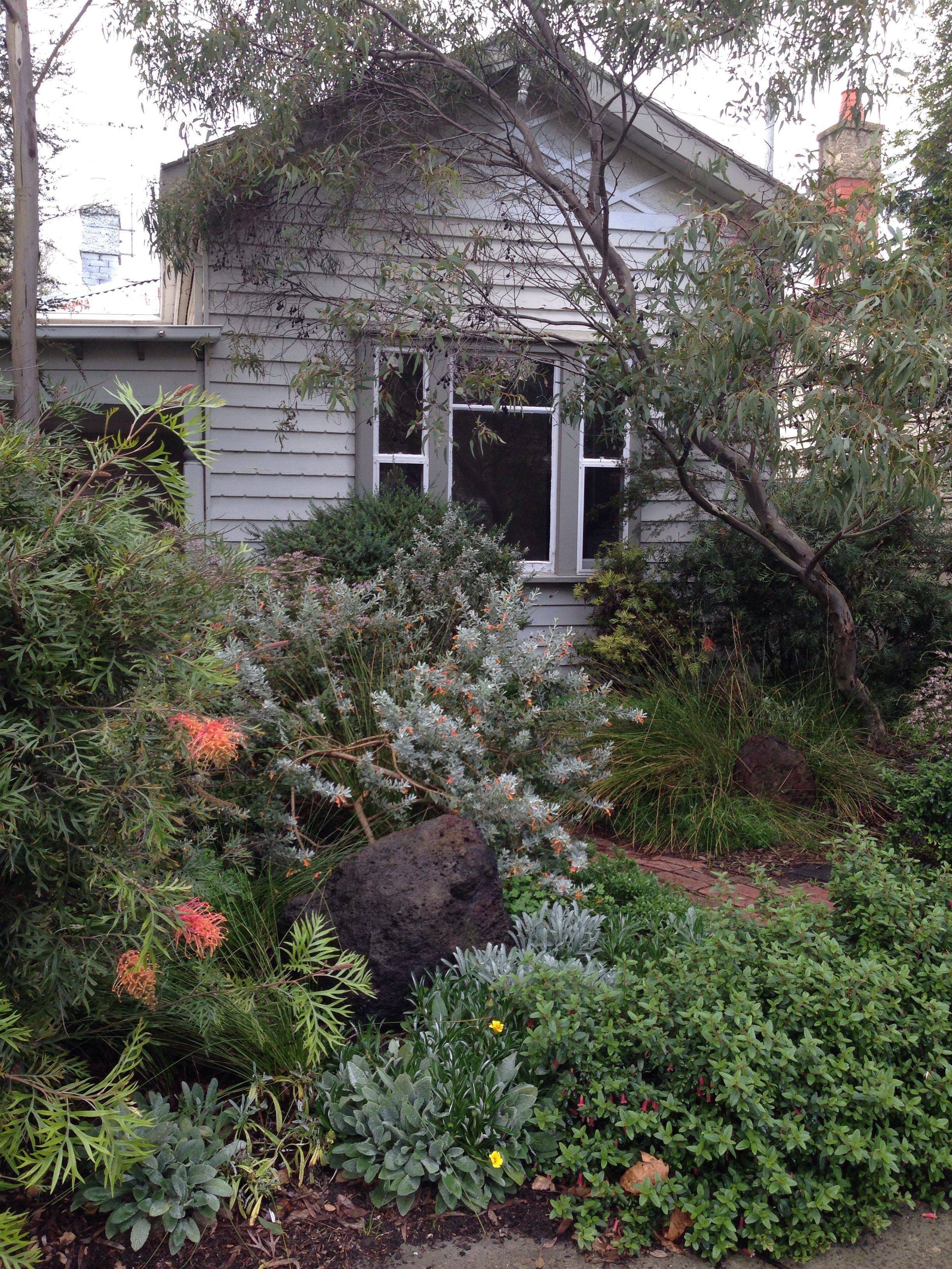 Brendan Moar Australian Native Garden