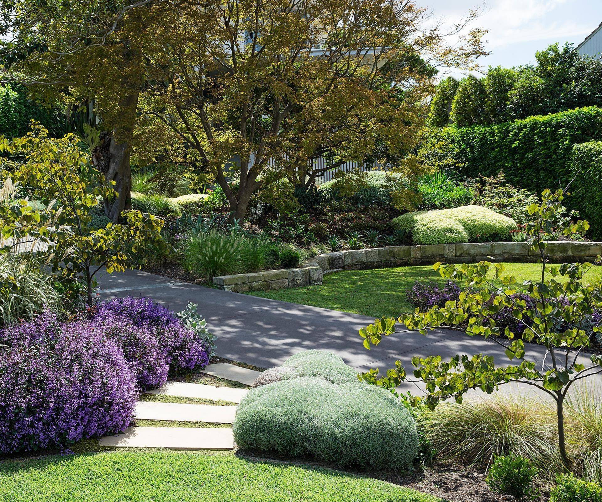 Modern Australian Native Garden