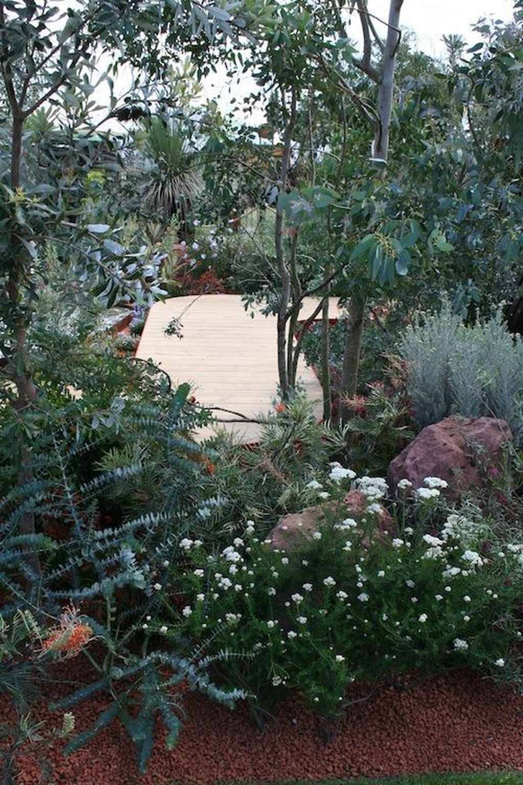 Native Australian Garden Design Ideas