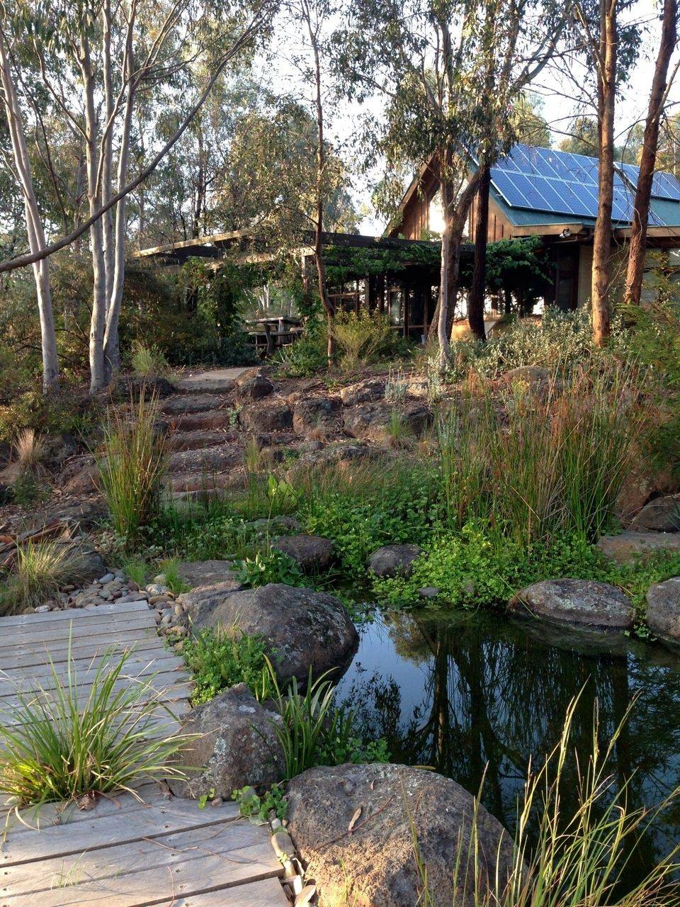 Beautiful Bushland Garden Design Megan Roe Landscape Design Brisbane