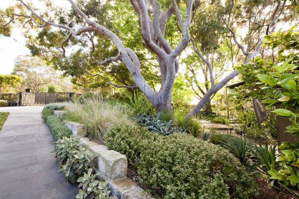 Australian Native Garden