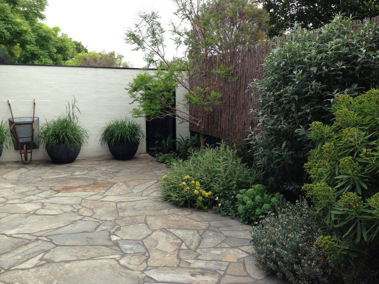 Front Yard Landscaping Ideas