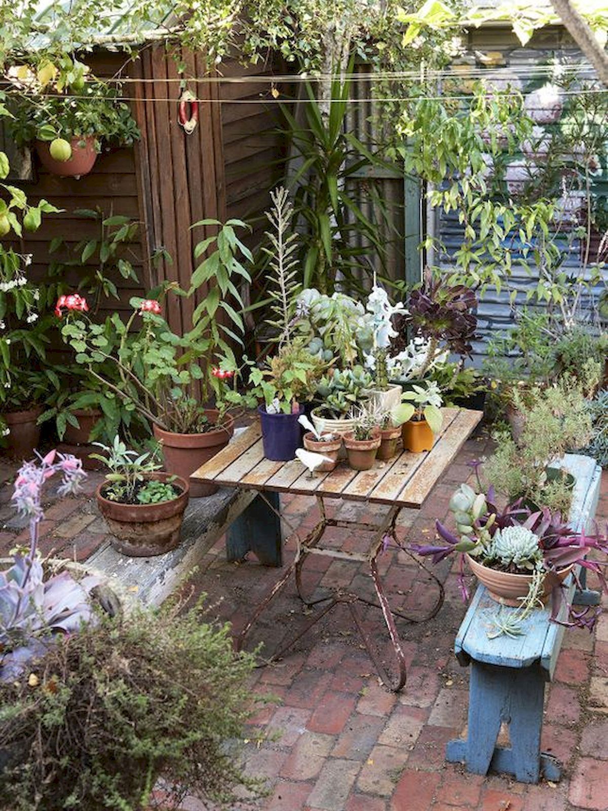 Amazing Modern Garden Design Ideas Courtyard Gardens Design
