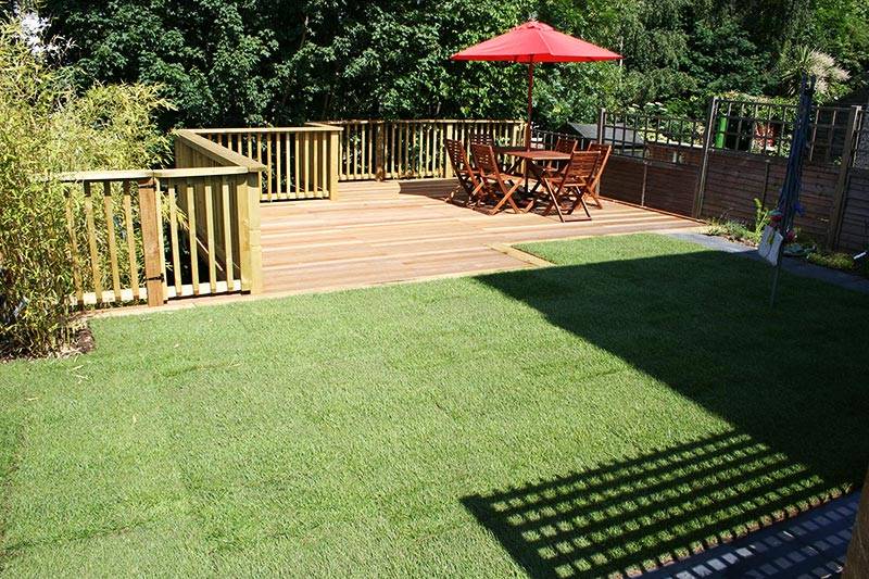 A Sloped Backyard