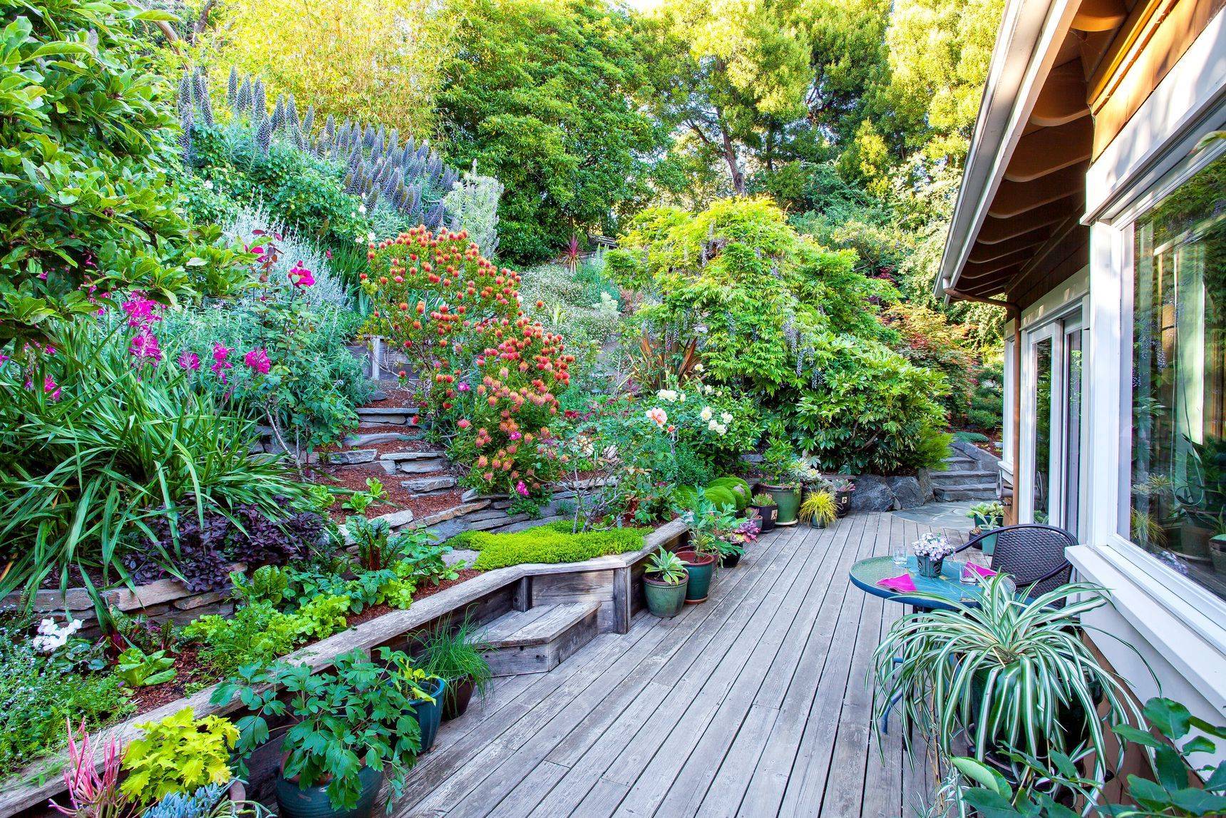 A Steep Slope Sloped Garden