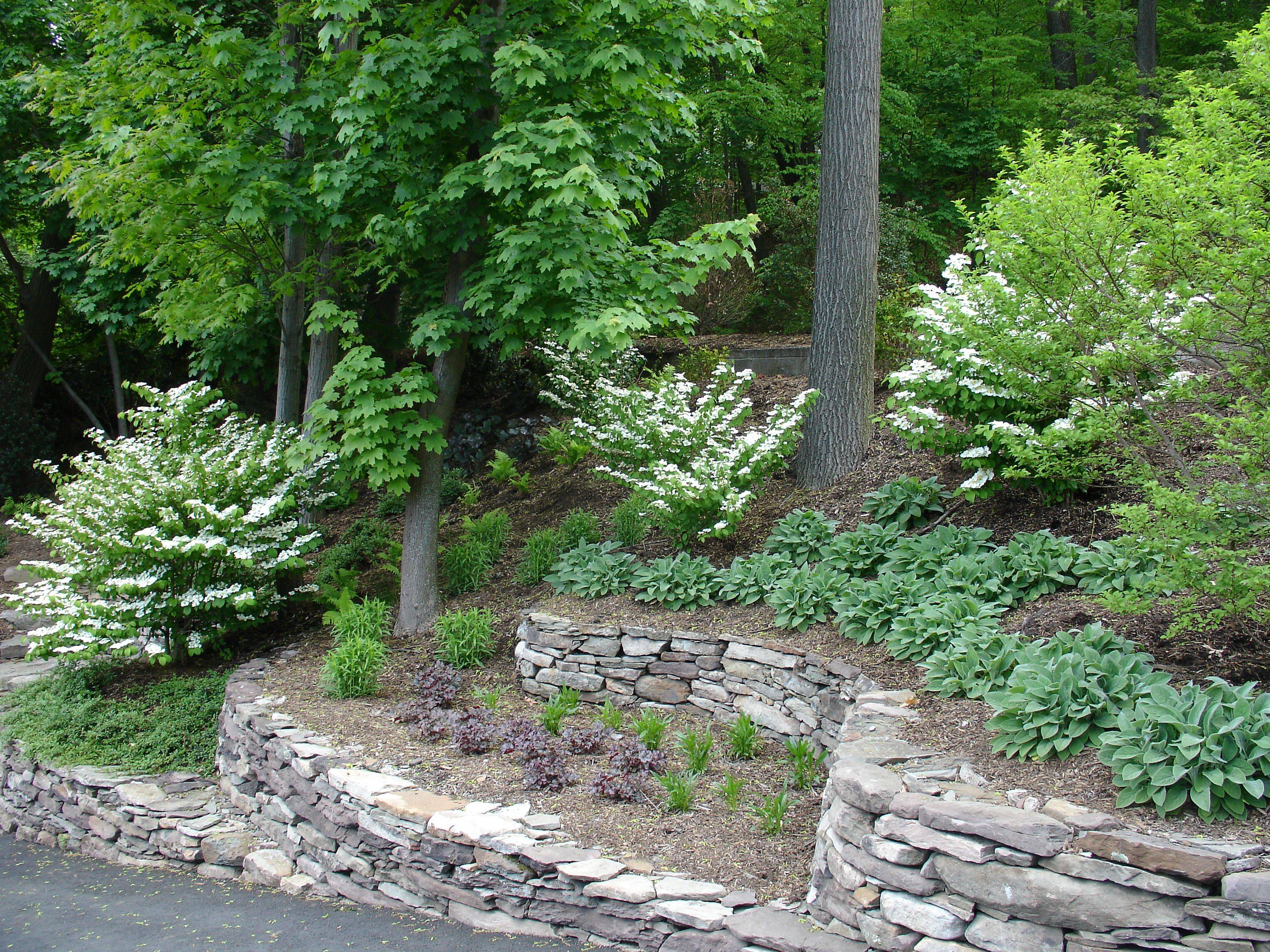 Tiered Garden Google Search Sloped Backyard