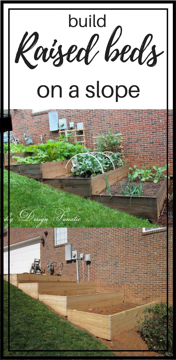 Diy Raised Beds