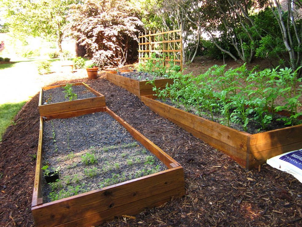 A Beautiful Garden Landscape