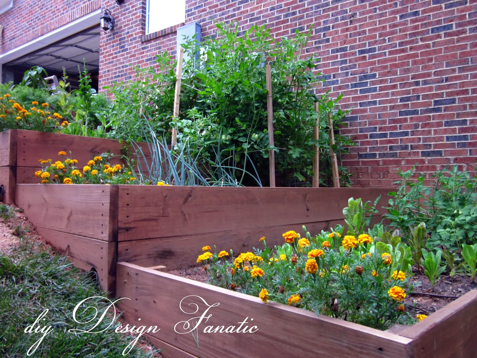 Uneven Ground Garden Ideas Gold Coast