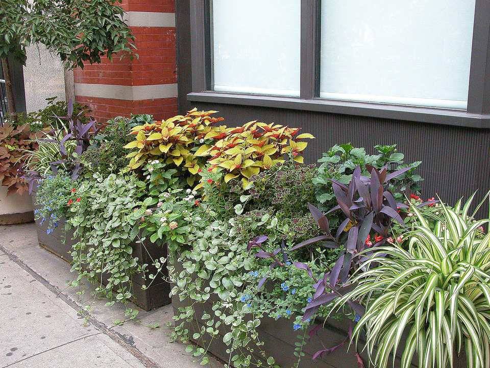 Small City Gardens