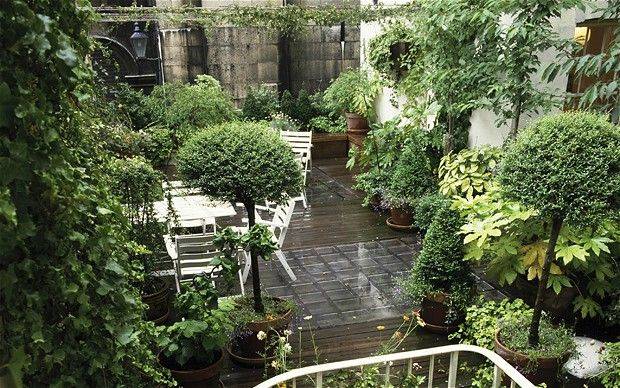 Rowhouse Backyard Urban Garden Design