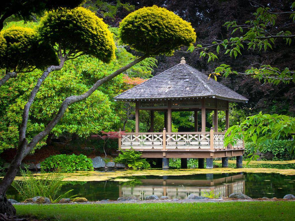 Amazing Japanese Garden Gazebo Ideas