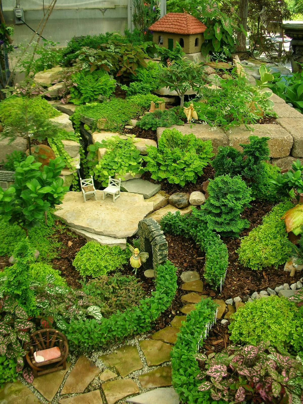 Miniature Gardening Town And Country Nurseries