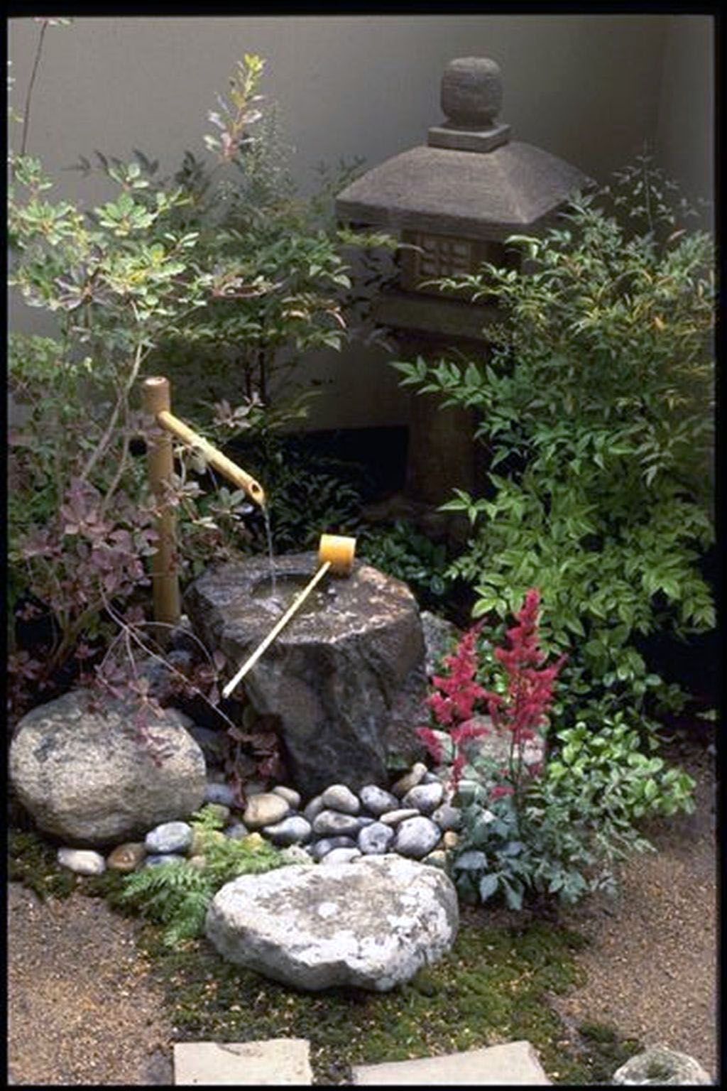 A Japanese Garden Saga