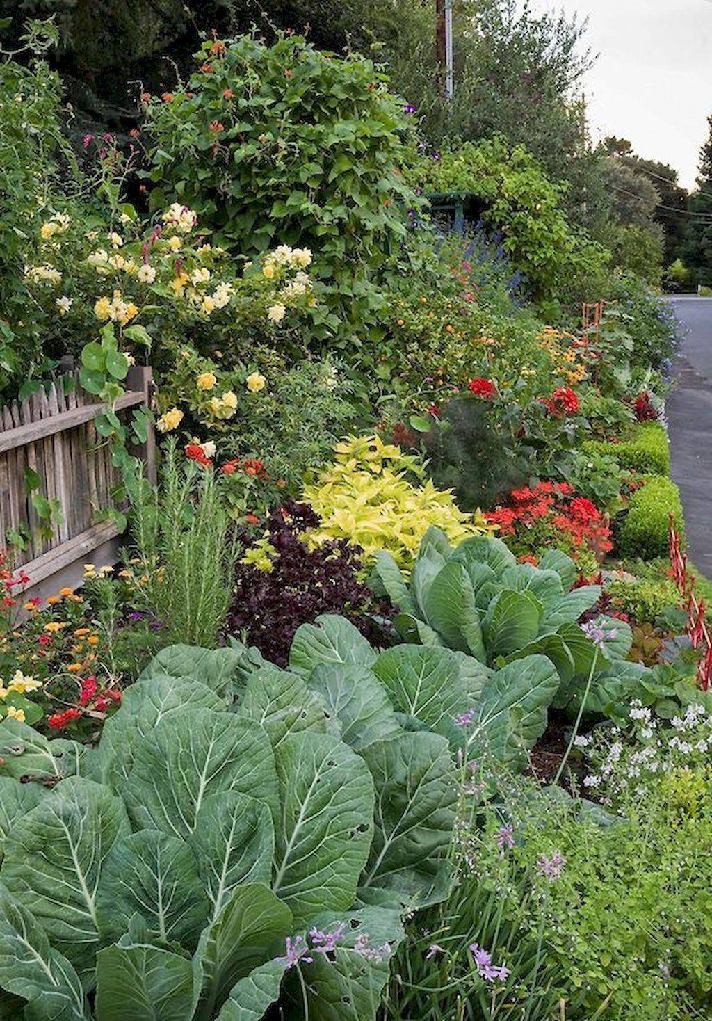 The Garden Front Yard Garden