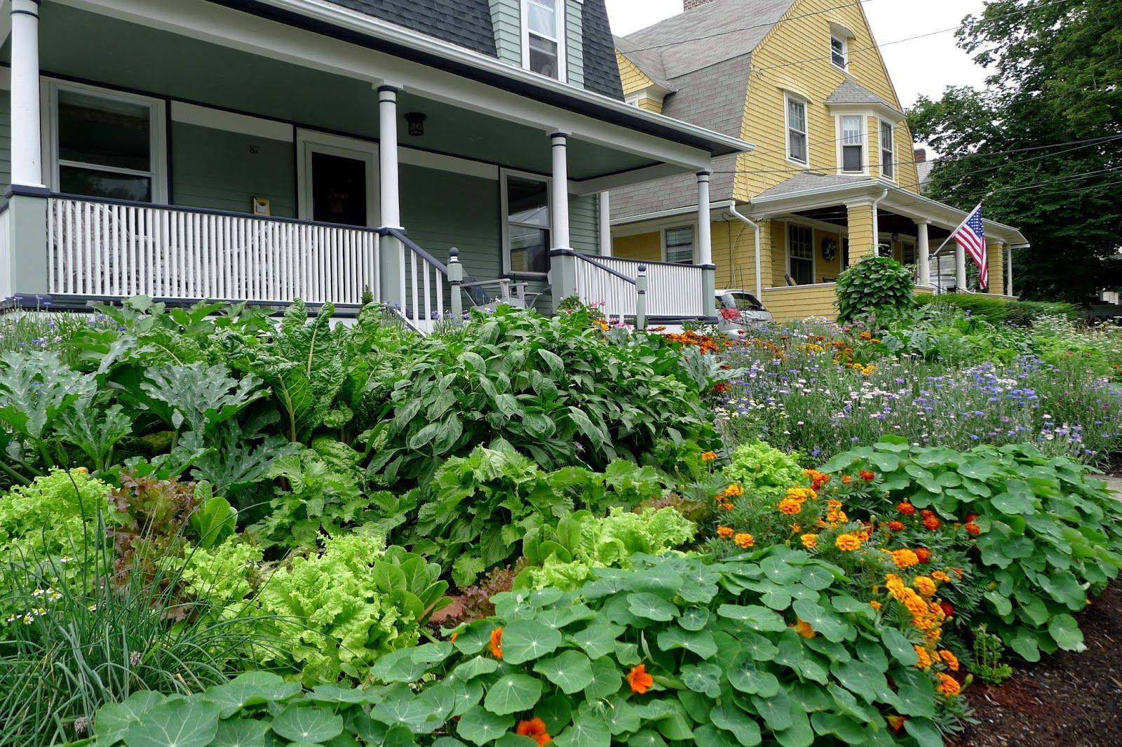 Front Yard Edible Garden Design