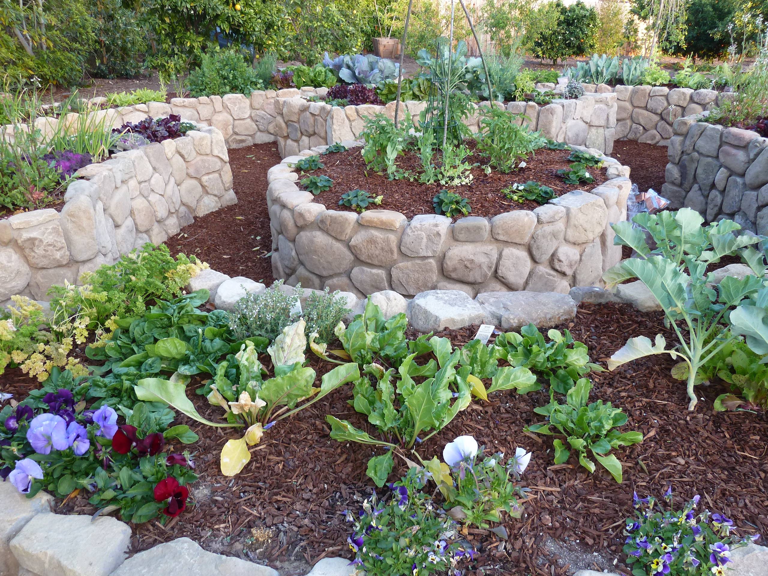 Beautiful edible landscaping ideas for home gardeners