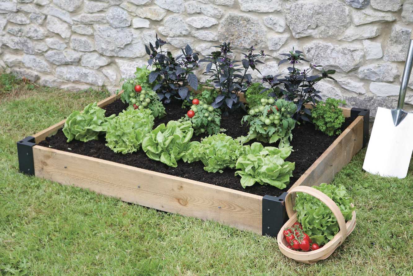 Ediblelandscaping Ideas