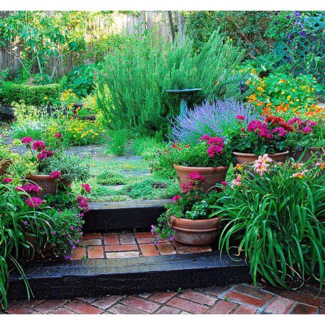 Beautiful Circle Herb Garden Take