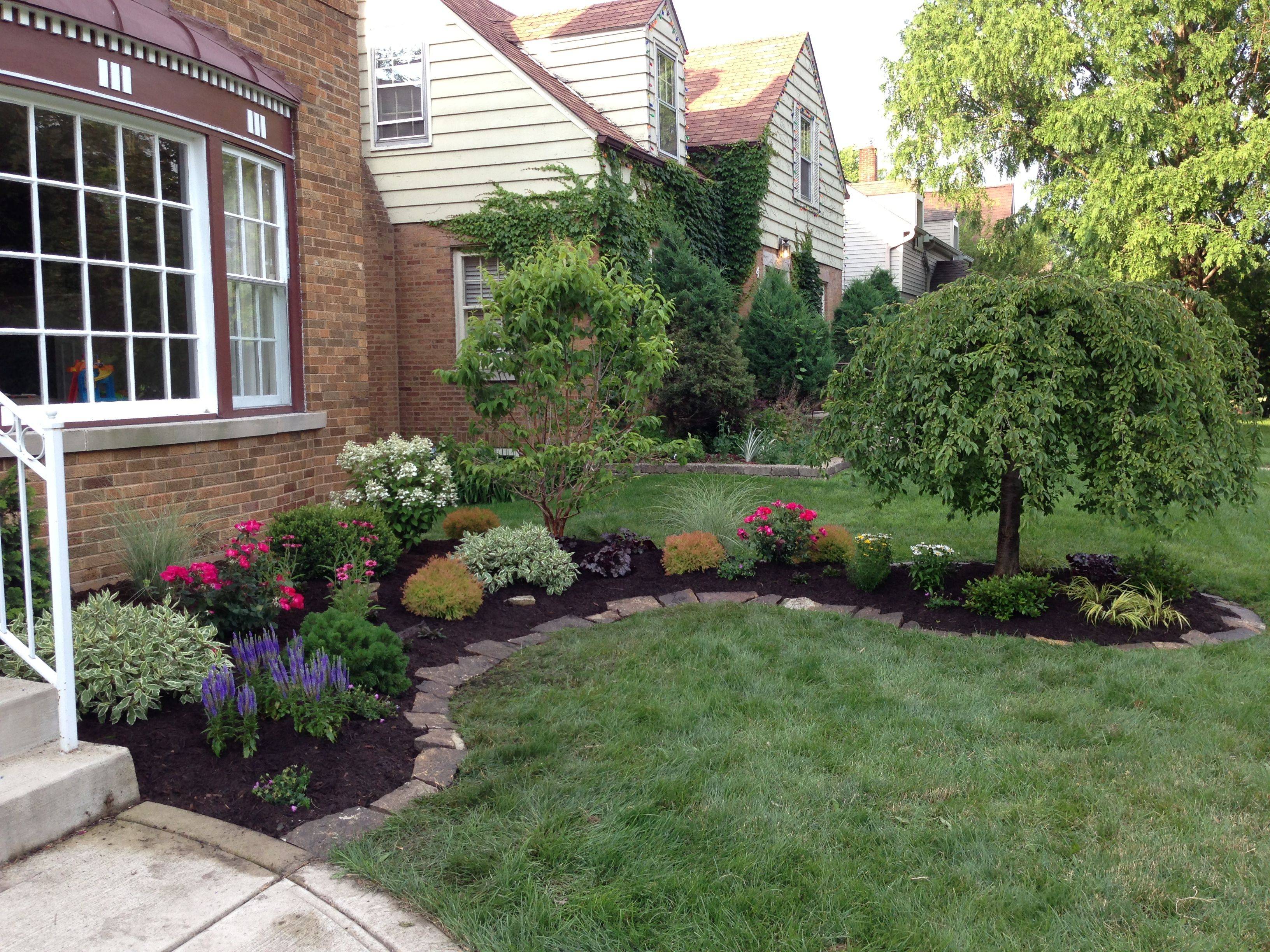 My Front Yard Herb Garden