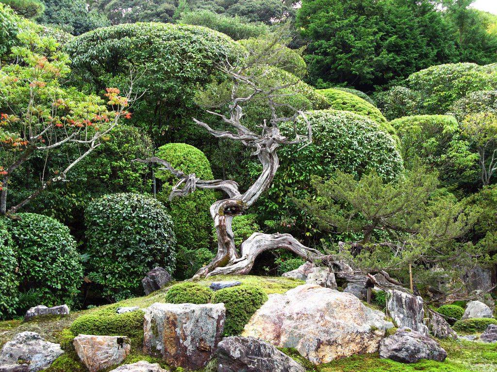 Hayward Japanese Garden Hours Abiewe