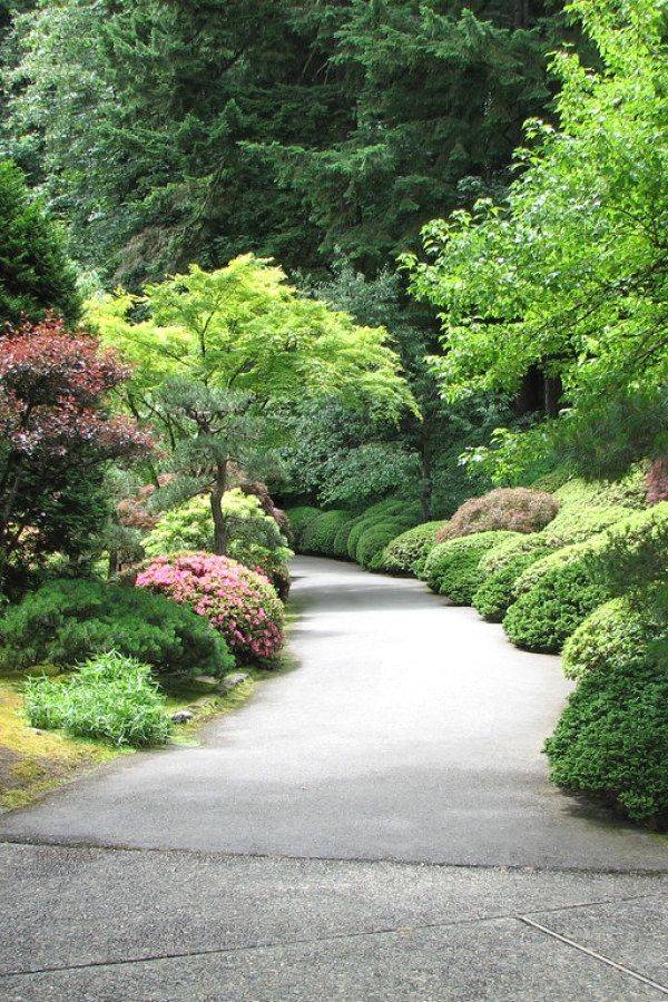 Japanese Tea Garden