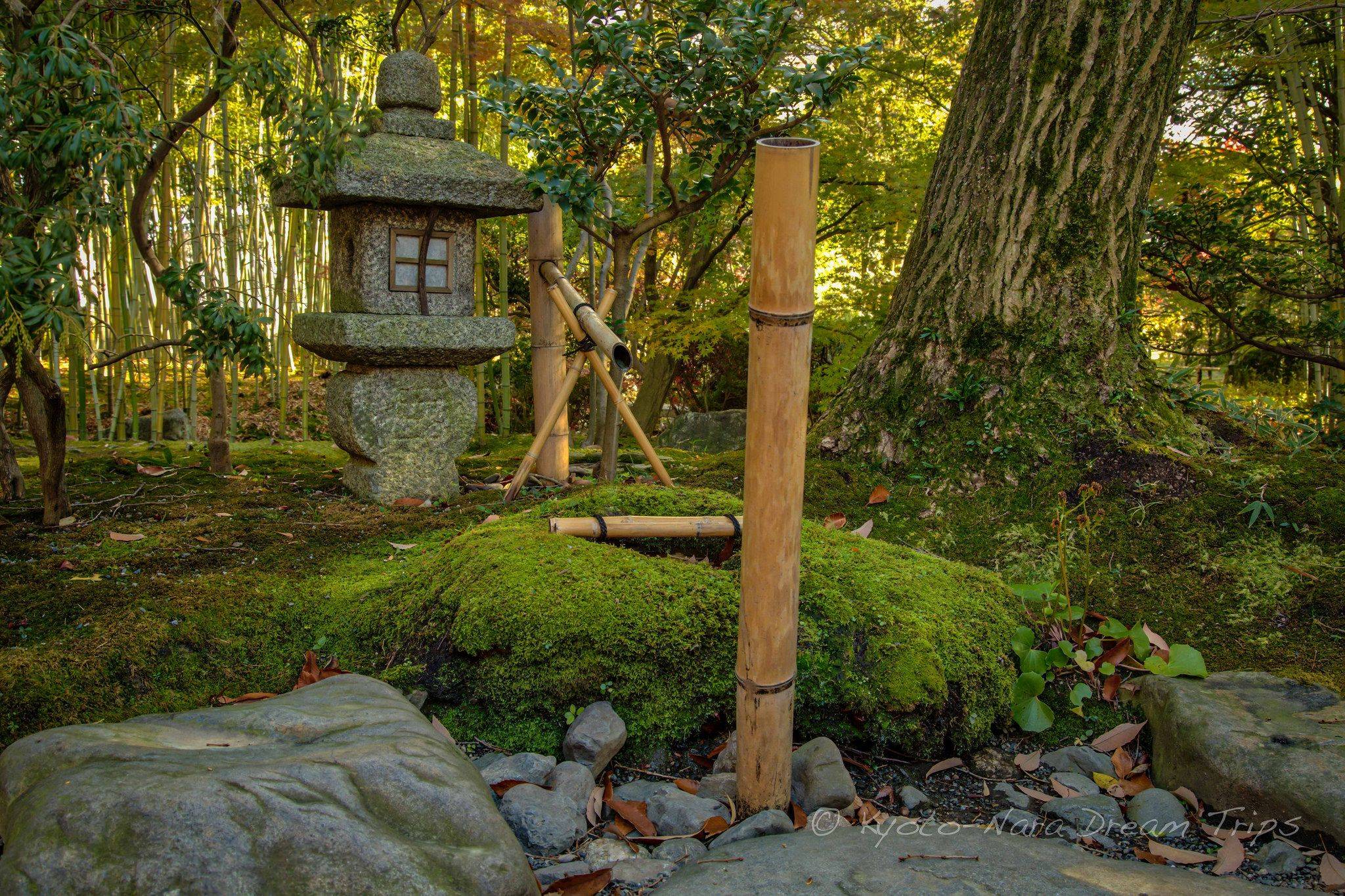 Japaneseteahouse Japanese Teahouse Meditation Room Backyard Retreat