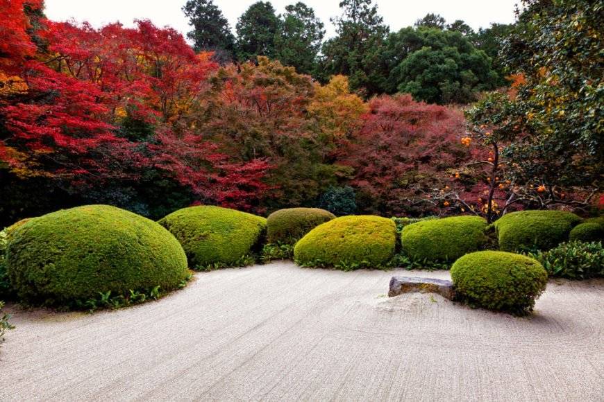 Japanese Garden