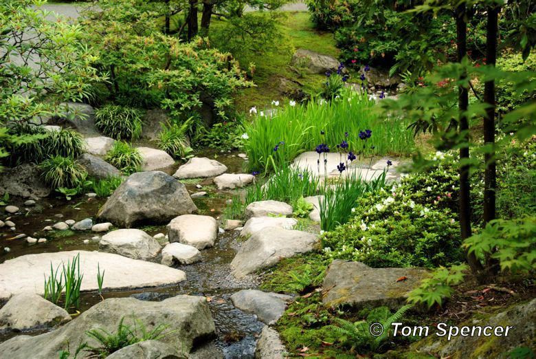 San Antonio Japanese Tea Garden