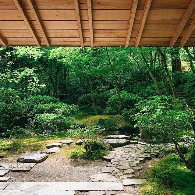 Your Garden