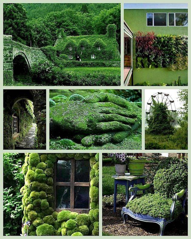 Zen Gardens Zen Garden