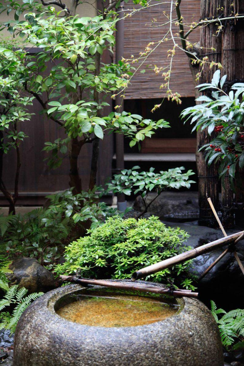Garden Design Ideas