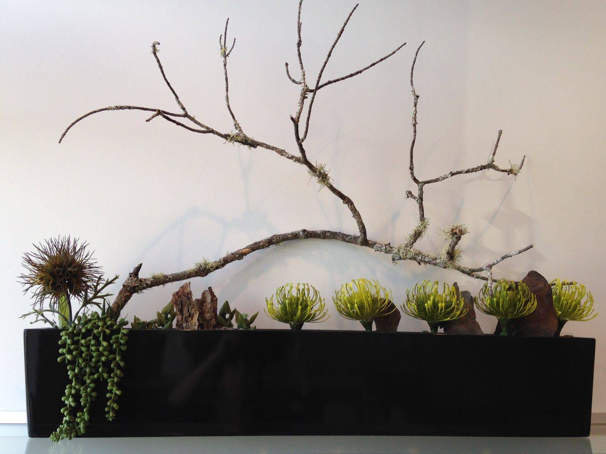 Tokyos Potted Gardens Pith Vigor Cultivating Garden Style