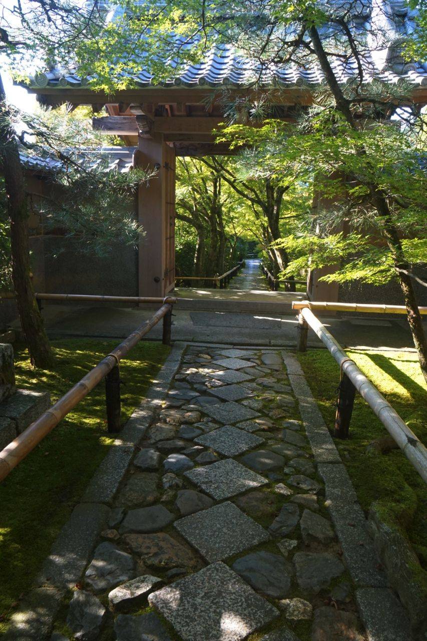 Best White Gravel Landscaping Ideas