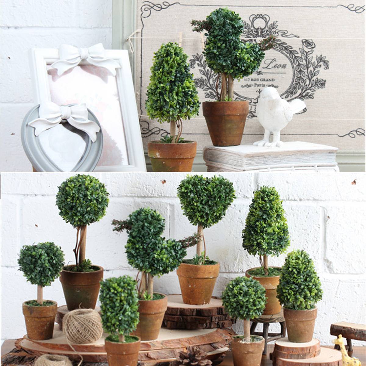 An Awesome Bonsai Display