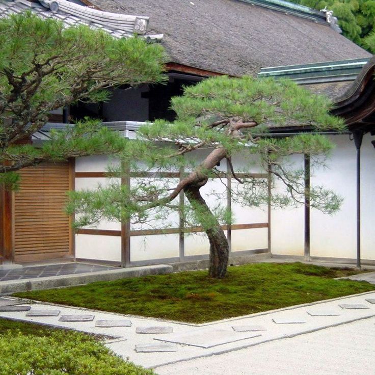 15 Japanese Garden Borders Ideas You Gonna Love SharonSable