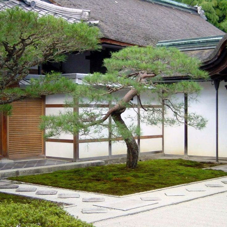 Japanese Garden Landscape